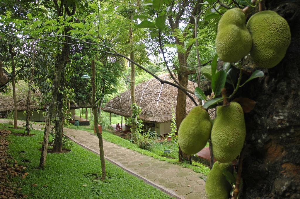 Spice Village Thekkady - A Cgh Earth Experience Eksteriør bilde