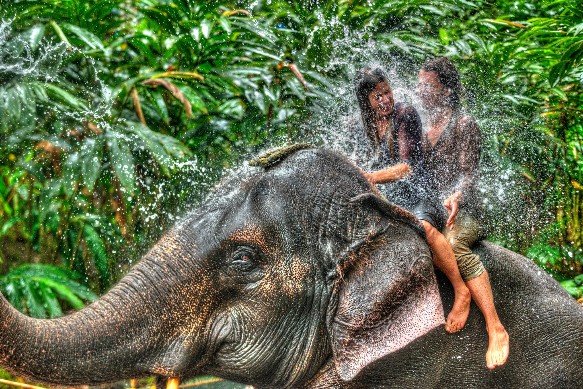 Spice Village Thekkady - A Cgh Earth Experience Eksteriør bilde